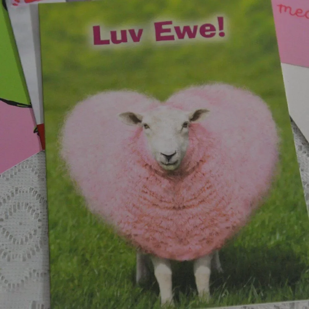 Valentines Day Cards 15 Various Brand New with Envelopes